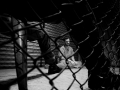 guantanamo2
