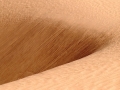 dunes10
