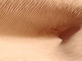 dunes12