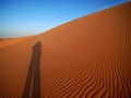 dunes2