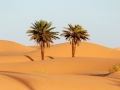 dunes6