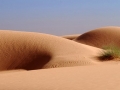 dunes8