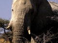 namibie-0002