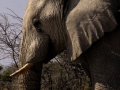 namibie-0003