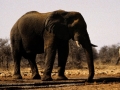namibie-0004