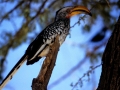 namibie-0005