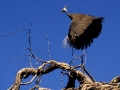 namibie-0006