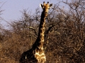 namibie-0007