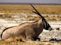 namibie-0008