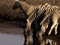 namibie-0009