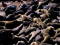 namibie-0011