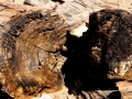 namibie-0017