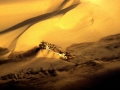 namibie-0021