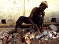 senegal-0002