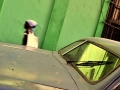 le-reflet-vert