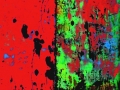 flamboyant2