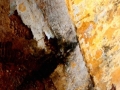 l-envol