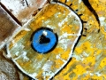 l-oeil
