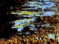 reflets