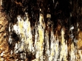 sortie-des-tenebres