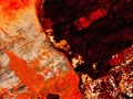 yeux-de-braise