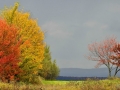 canada-0001