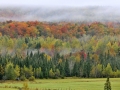 canada-0010