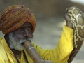 portraitsdurajasthan6