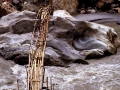 nepal-0008