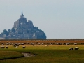 m-st-michel_211