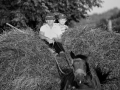 danslescarpates-10