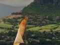voile2