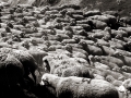La Grave 09 2013